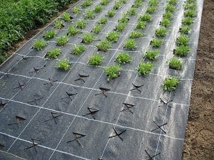 Agrotekstilė