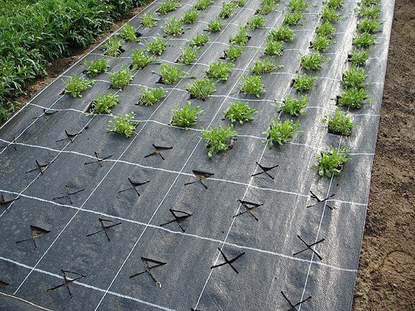 Agrotekstilė