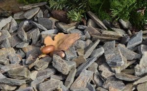 Dekoratyvinė skalda Grey slate Vilniuje, Kaune