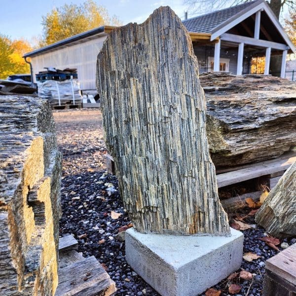 Akmuo sodo dekoracijai Gneiss monolitas Vilnius
