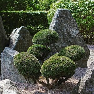 Monolitas žalias serpentinas