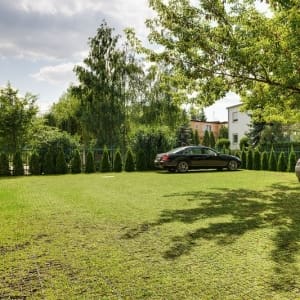 Plastikinis korys skaldai arba vejai Vilnius Trakai Dekoskalda