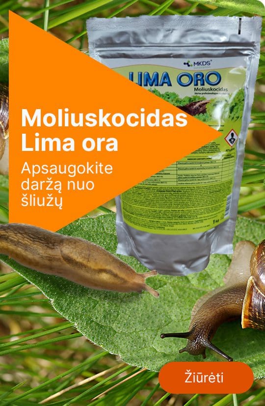 moliuskocidas