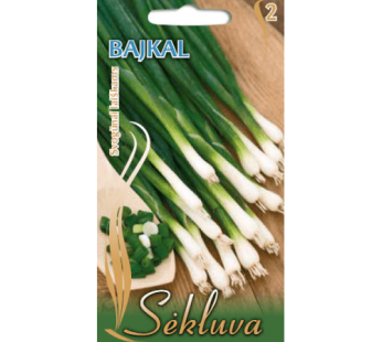 Tuščialaiškiai česnakai Bajkal