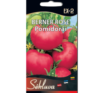 Valgomieji pomidorai Berner rose