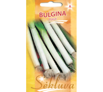 Daržiniai porai Bulgina