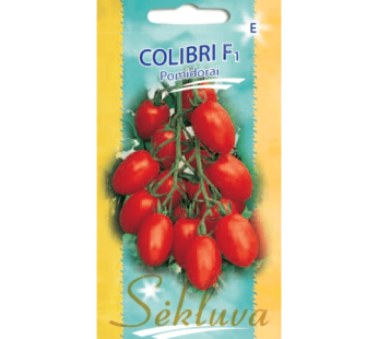Valgomieji pomidorai Colibri F1