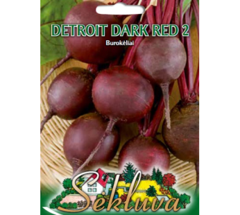Raudonieji burokėliai Detroit dark red