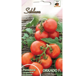Valgomieji pomidorai Orkado F1