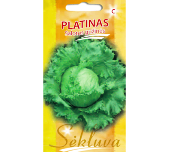 Sėjamosios salotos Platinas