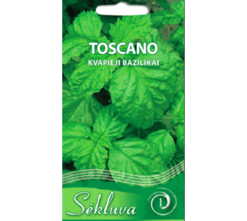 Kvapnieji bazilikai Toscano
