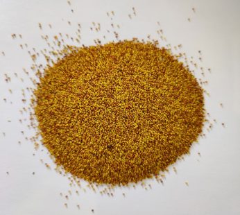 Baltieji dobilai Abercrest 700 g
