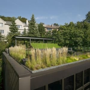 Žemių mišinys žaliems stogams, 1 m3 Dekoskalda Vilnius Lietuva Kaunas