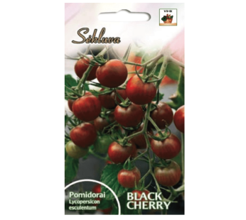 Valgomieji pomidorai Black Cherry